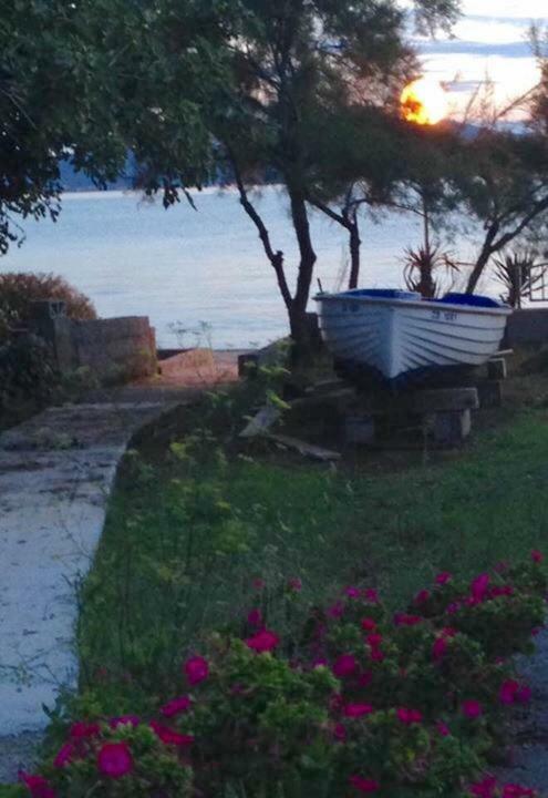 Apartman Lipotica Diklo Zadar Luaran gambar
